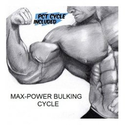 Max-Power Bulking Cycle